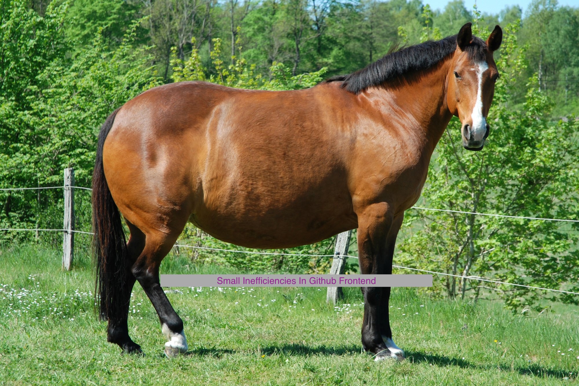 picture of a very fat horse with the label “small inefficiencies in github frontend”